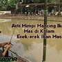 Mimpi Dapat Ikan Besar 2 Ekor Togel